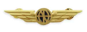 Luso Aviation Pilot Wings Aviator Shirt Lapel Pin Gold Buttery Fly Clasps